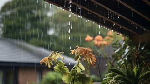 湖北周末天气迎来转折 雨水自西向东覆盖全省