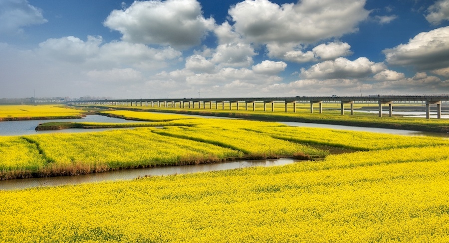 阜阳旅游景点排行榜（安徽阜阳十大旅游景点）