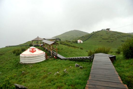 留坝紫柏山 图/袁武学