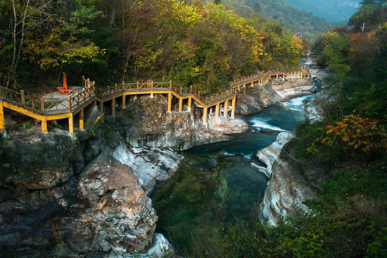 黄柏塬