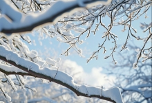 1月24日陕西未来三天天气预报 今明天迎雨雪部分地区有暴雪