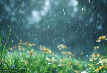 广西强降雨持续至周末 谨防旱涝急转及次生灾害