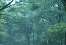 湖南天气今明仍有雨雾侵扰 周末全省放晴气温攀升