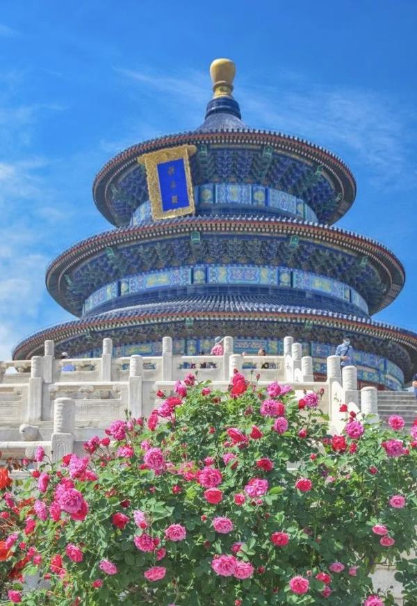 北京好天气回来了！这份北京游园赏花攻略请收好