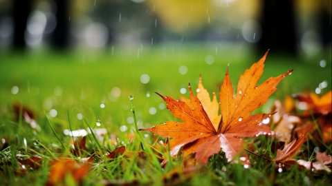 9月13日江苏浙江天气 江苏中到大雨浙江多地高温