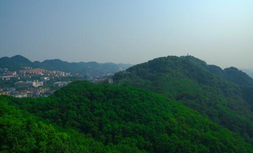 南山.jpg