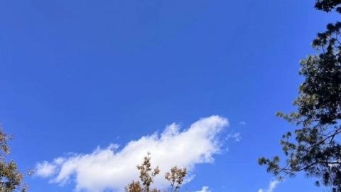 河南周末气温依旧“低迷” 下周天气回暖
