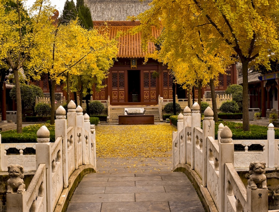 阜阳旅游景点排行榜（安徽阜阳十大旅游景点）
