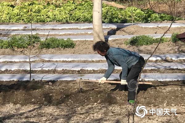 陇南气温回暖 白龙江畔农忙伊始