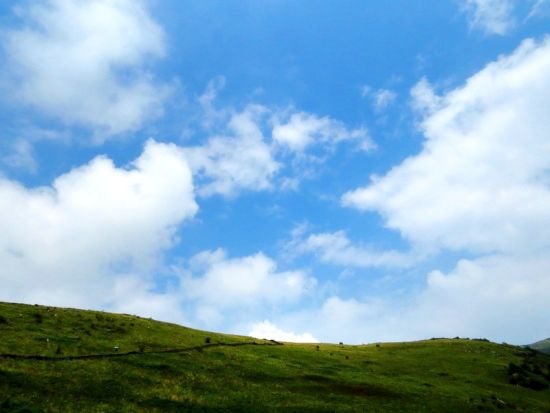 留坝紫柏山 图/“冬日之心”