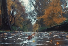浙江近期暴雨频发 注意防范强降雨影响