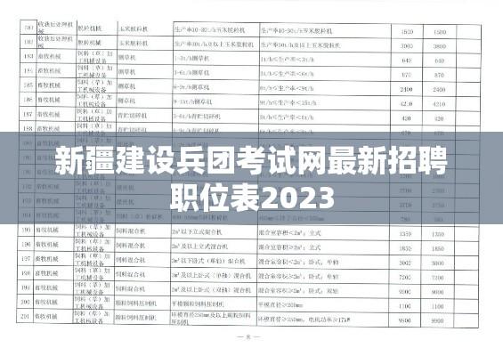 新疆建设兵团考试网最新招聘职位表2023